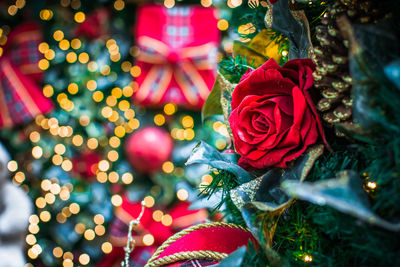 Close-up of illuminated christmas tree