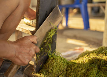 Antique cut tobacco into strips for further exposure in the sun in thailand.