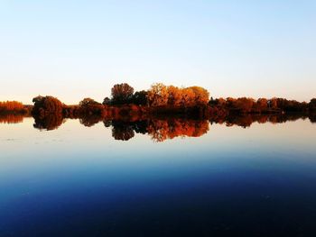 Reflection of trees in lake against clear sky