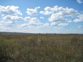 Scenic view of field against sky