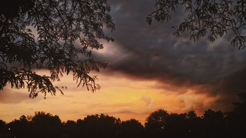 Low angle view of silhouette trees against sky at sunset