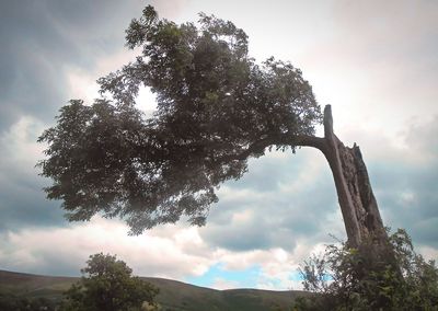 Low angle view of cloudy sky