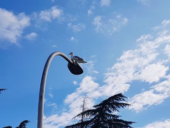 Low angle view of street light against sky