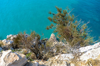 High angle view of rocks by sea