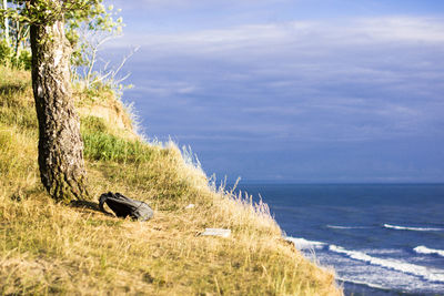 View of bird on land against sky