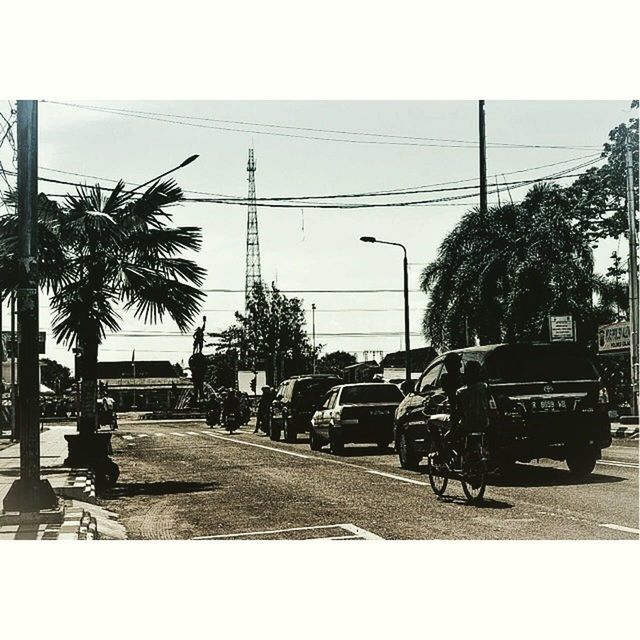 transfer print, transportation, clear sky, car, mode of transport, land vehicle, street, auto post production filter, street light, building exterior, tree, road, built structure, sunlight, sky, palm tree, architecture, city, incidental people, outdoors