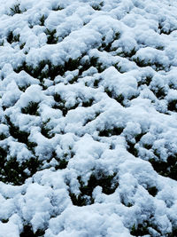 Full frame shot of snow covered land