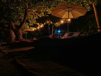 Illuminated lighting equipment on tree trunk at night