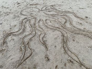 Full frame shot of sand