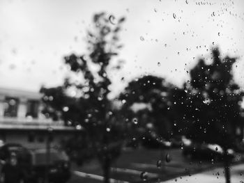 Rain drops on car windshield