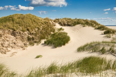 Scenic view of beach against sky