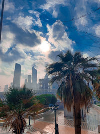 Palm trees and buildings against sky