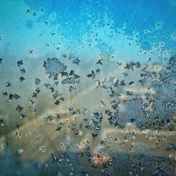 Full frame shot of water surface