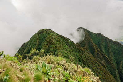 View of mountains at mount sabyinyo in the mgahinga gorilla national park, virungas region, uganda
