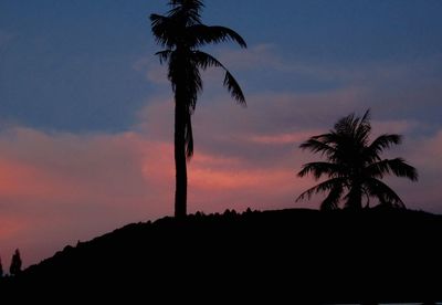 Silhouette palm trees at sunset