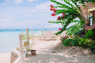 Scenic view of beach against sky