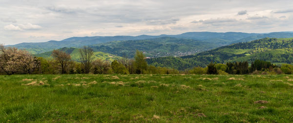 Scenic view of field against sky