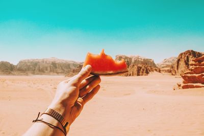 Cropped hand of holding watermelon on land