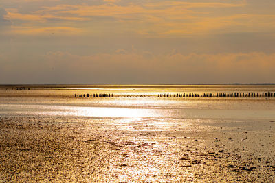 Scenic view of beach against sky during sunset