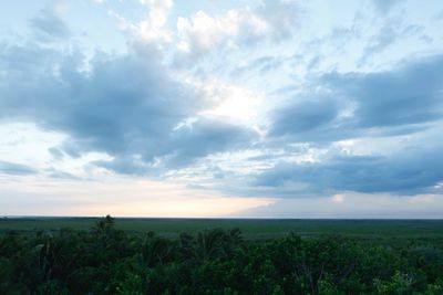 Scenic view of field against sky