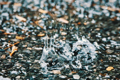 Close-up of frozen water on land