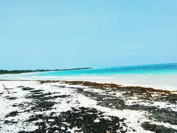 View of beach against blue sky