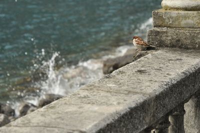 Rocks in sea