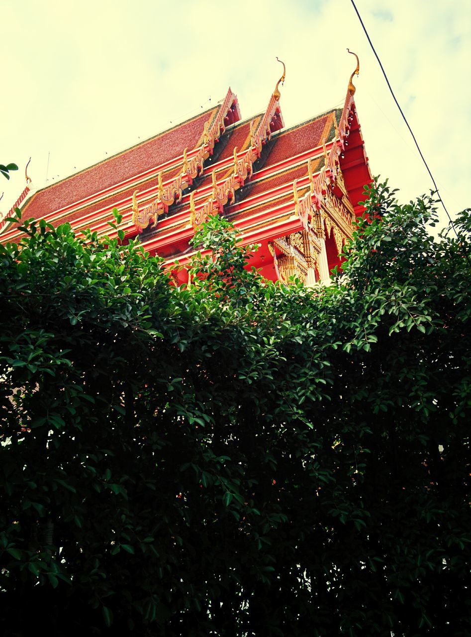 building exterior, architecture, built structure, low angle view, growth, sky, plant, house, roof, outdoors, day, tree, no people, nature, red, sunlight, leaf, clear sky, tradition, religion