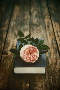 Close-up of rose on table