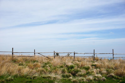 Scenic view of grassy field against cloudy sky