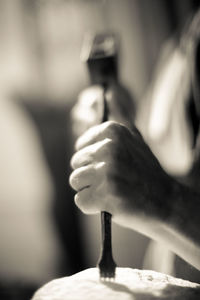 Close-up of cropped object