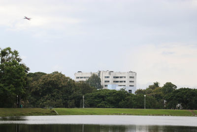 View of birds in park against cloudy sky