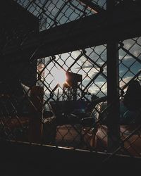 View of birds through chainlink fence