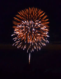 Low angle view of firework display at night