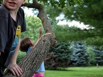 Siblings hanging on tree trunk at park