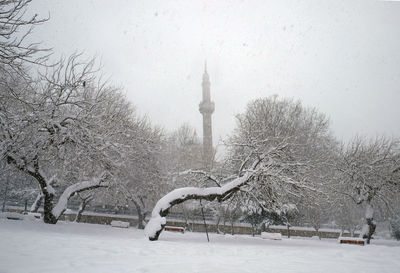 Bare tree in city against sky during winter