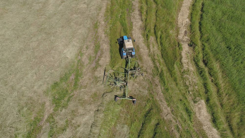 Aerial, view agricultural machinery with wheeled rake makes ranks beveled hay.