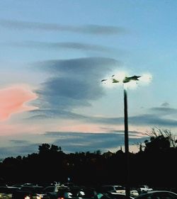 Low angle view of silhouette birds flying against sky during sunset