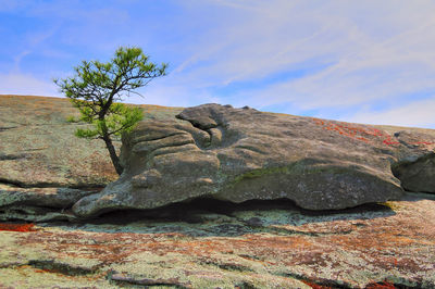 Low angle view of rock formation amidst trees against sky