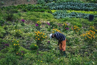 Side view of farmer working on field