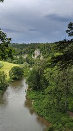 Scenic view of stream amidst trees and buildings against sky