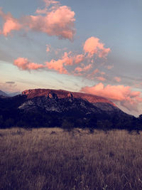 Scenic view of field against sky during sunset