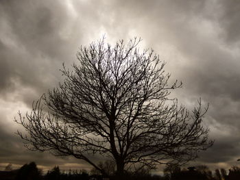 Low angle view of silhouette bare tree against sky