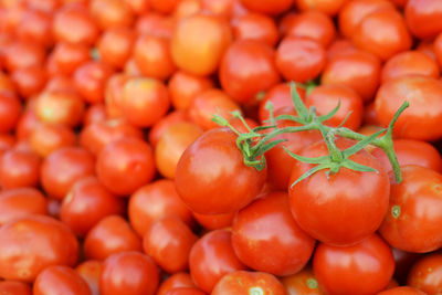 Full frame shot of fresh organic tomatoes