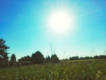 Scenic view of field against bright sun