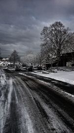 Road by bare trees against storm clouds