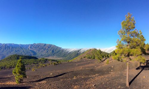 Scenic view of landscape against clear blue sky