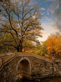 Arch bridge and trees against sky during autumn