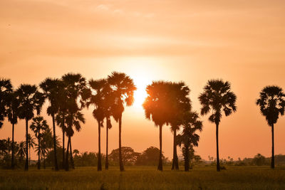 Silhouette trees on field against sky during sunset