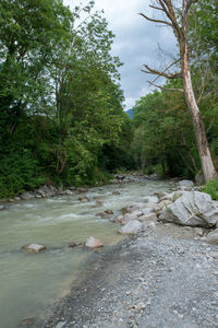 Stream flowing through rocks in forest against sky